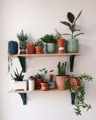 Decoração com plantas na parede