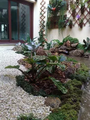 Jardim de inverno com cascata