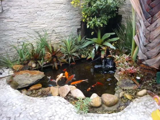 Jardim de inverno com cascata