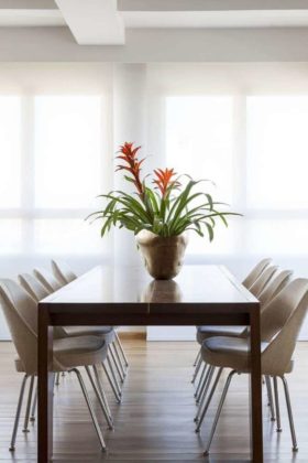 vasos de plantas em mesas de jantar