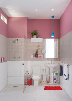 Decoração rosa Para parede
