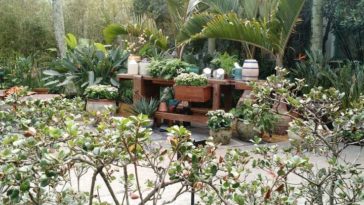 Jardim