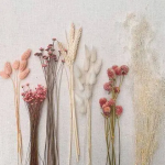 flores-secas-coloridas