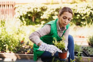 Mulher cuidando de plantas com ferramentas para jardinagem.