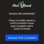 web-stories-page-template-21093