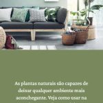 web-stories-page-template-21624