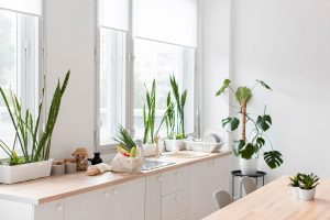 Imagem de plantas na decoração da cozinha com vasos em balcão. 