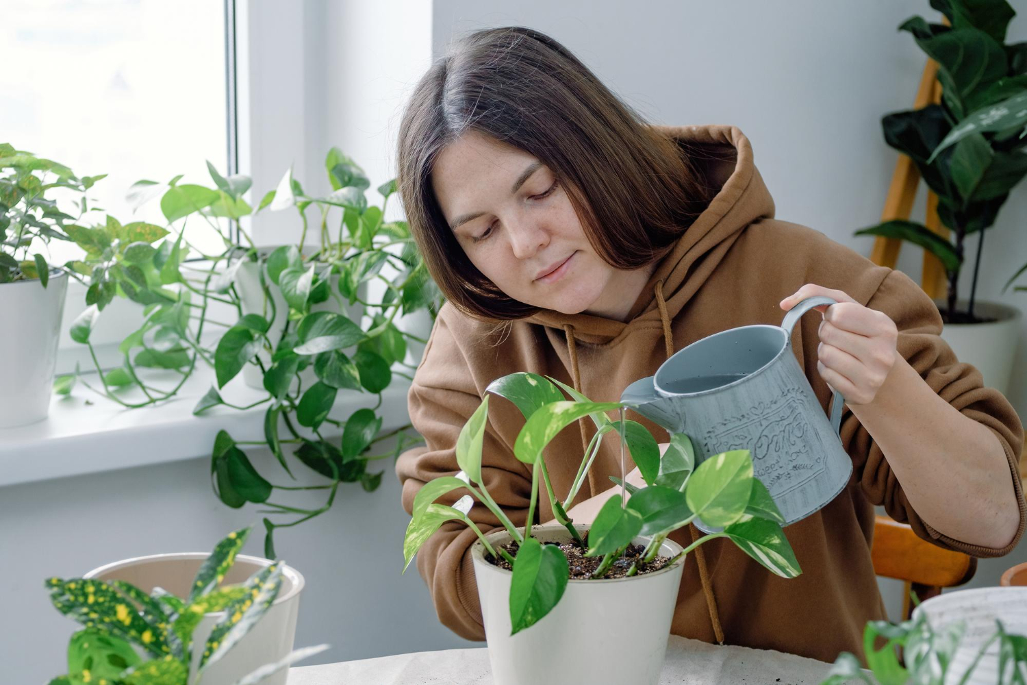 mulher aproveita o inverno para cuidar das plantas corretamente nessa época em casa