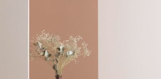 Decoração minimalista (8)