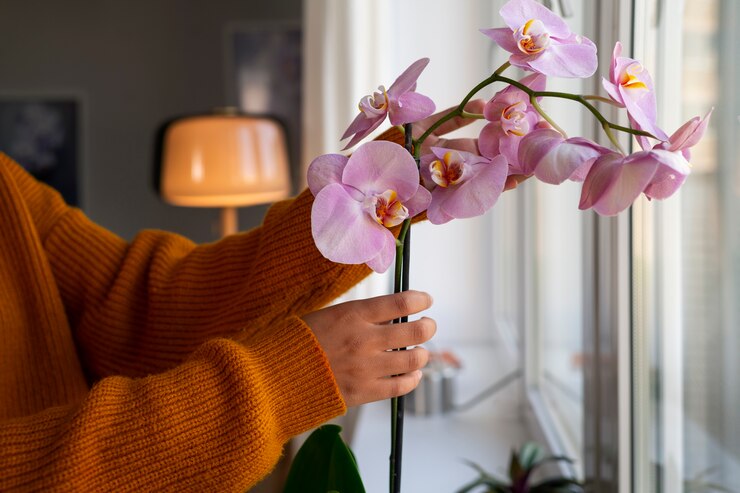 iluminação natural da primavera na decoração de casa