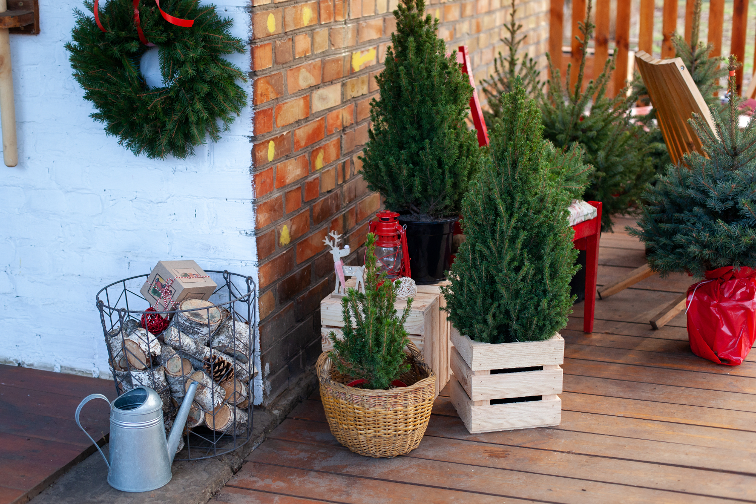 Decoração de Natal para jardim arbustos