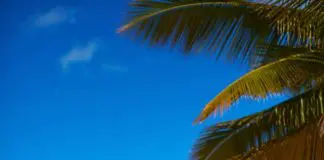 Checklist Completo para sua Viagem de Verão 8