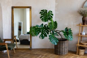Estilo Tropical Chic aplicado em casa.
