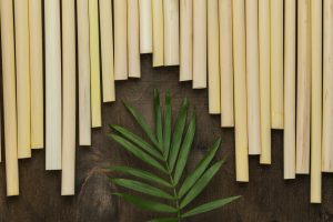 bambu na decoração biofílica