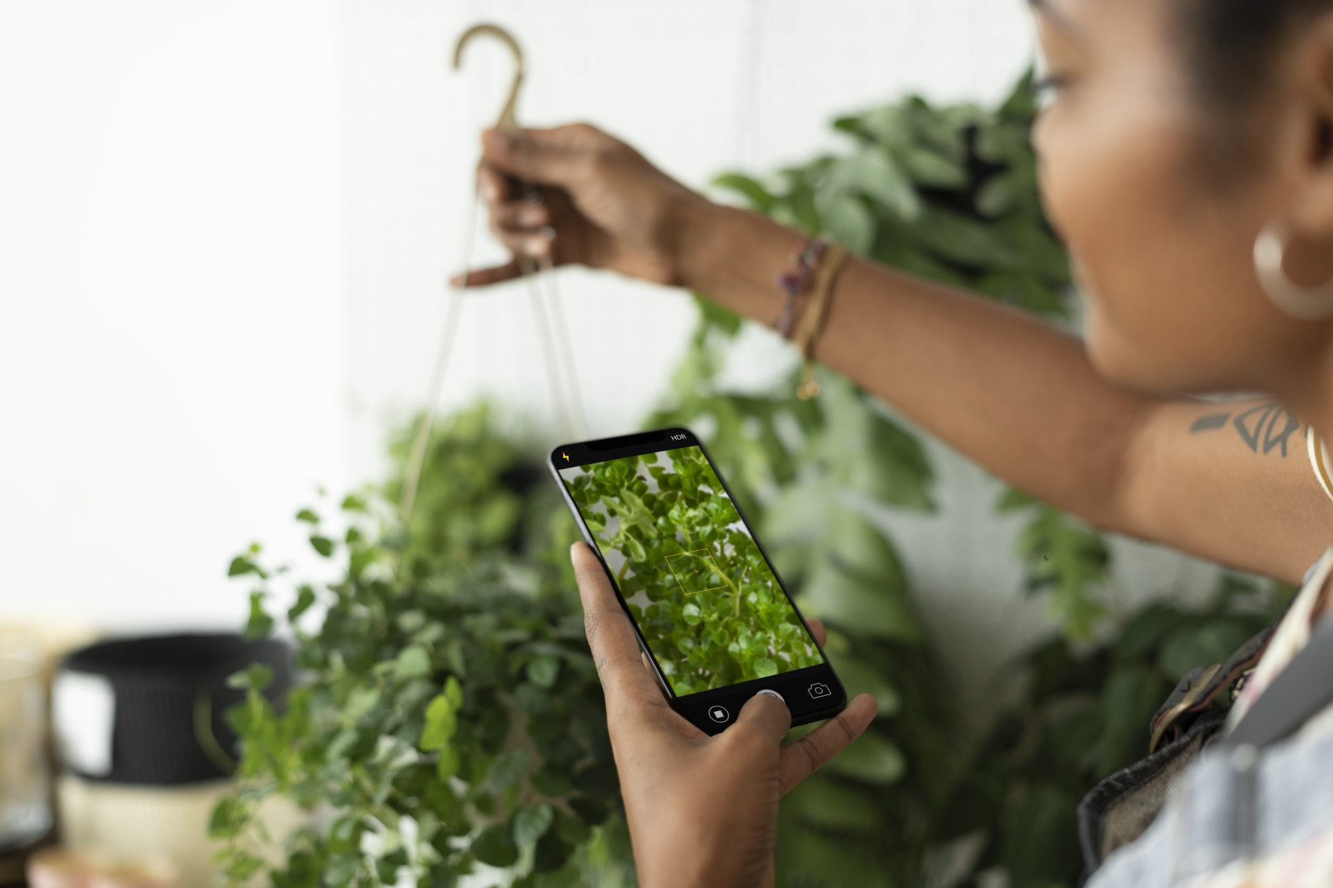 Tendências em design sustentável
